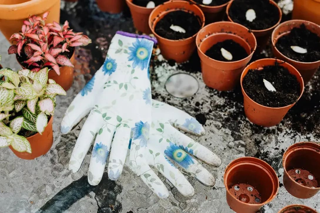 芝生の管理と張り替え